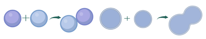 Collision mechanism (left). Fusion mechanism (right)